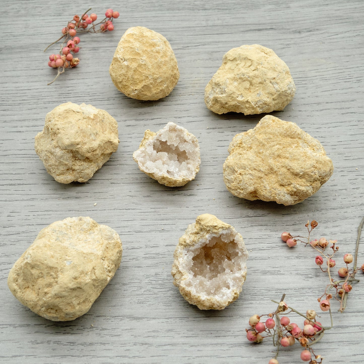 Small Unbroken White Quartz Geodes 4-6cm  Pure Serenity   