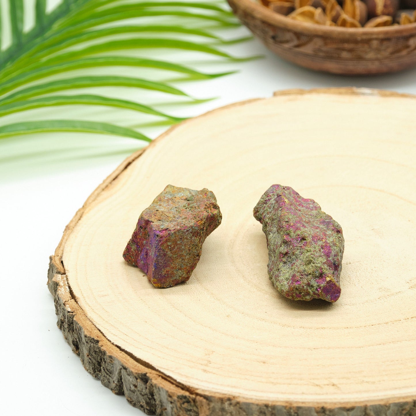 Natural Peacock Ore Chalcopyrite  2 Pieces  Pure Serenity   