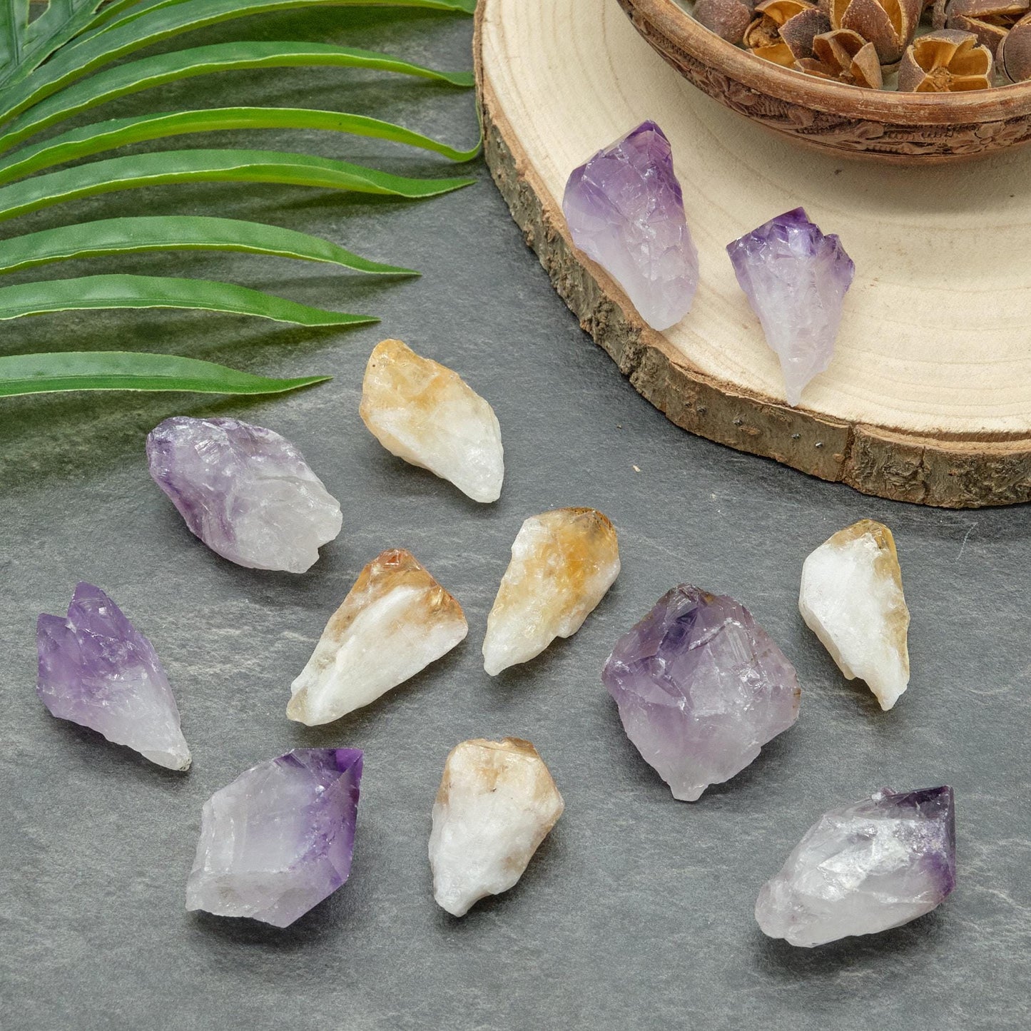 Rough Amethyst Citrine Points Pair 4-6 cm  Pure Serenity   